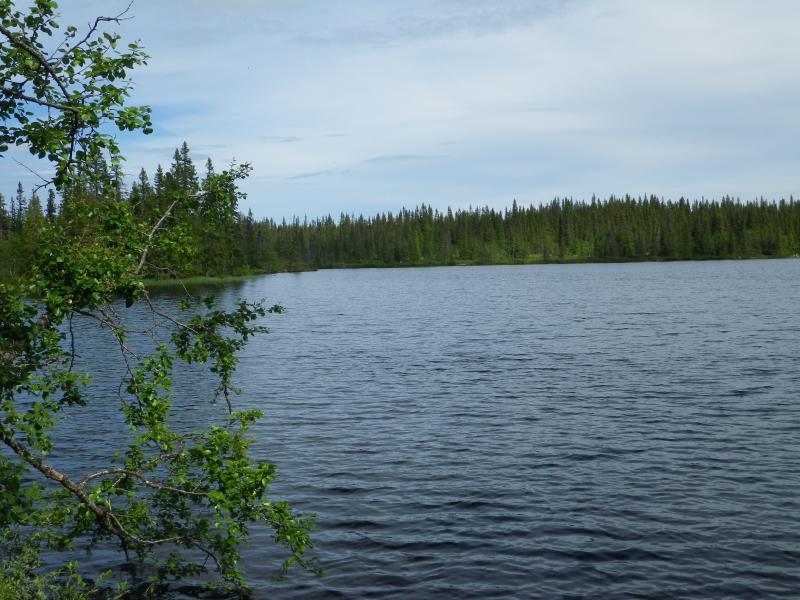 Fisklössjön.JPG