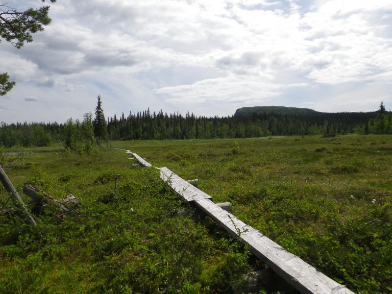 Vandringsled Holmsjön.JPG